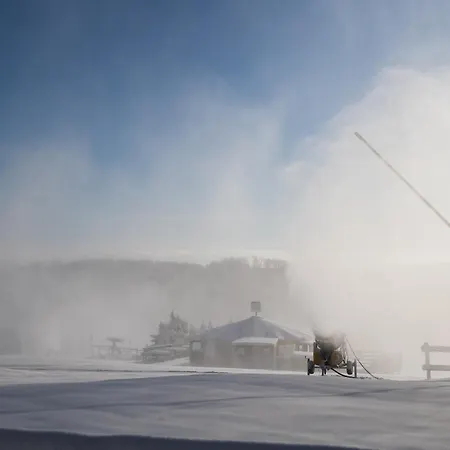 Welcome In - 14 In Der Naehe Des Skigebiets Mit Sauna - Blick Auf Bobbahn アパート ヴィンターベルク