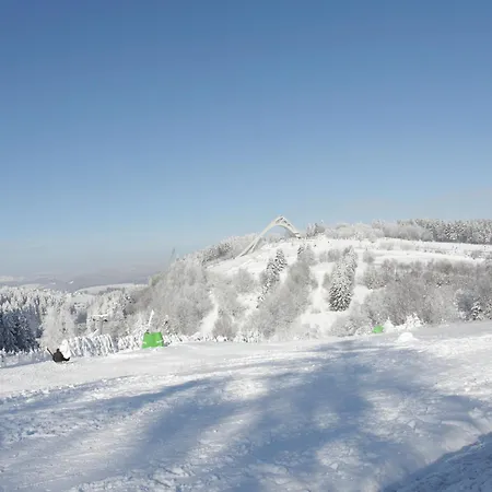 Welcome In - 14 In Der Naehe Des Skigebiets Mit Sauna - Blick Auf Bobbahn アパート ヴィンターベルク
