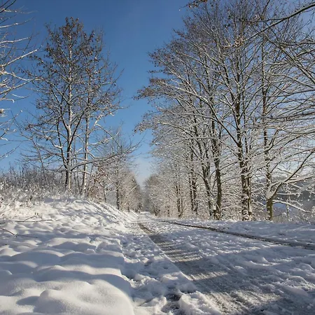 Welcome In - 14 In Der Nähe Des Skigebiets Mit Sauna - Blick Auf Bobbahn Winterberg